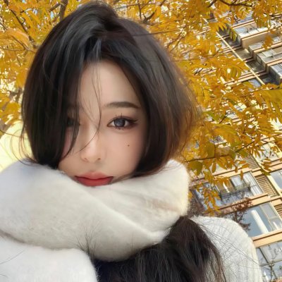 傲骨贤妻第五季